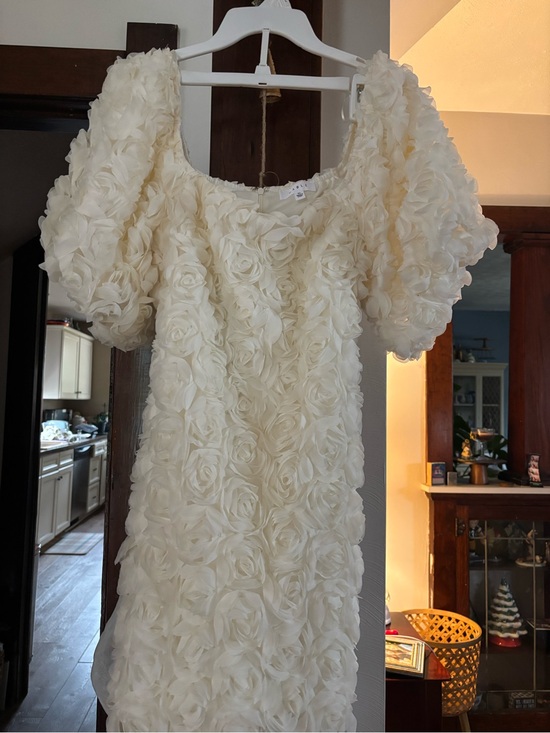 Vici Dresses & Skirts - Vici Ivory Rose Appliqué Puff Sleeve Dress